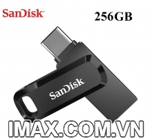 USB 3.1 Sandisk Ultra Dual Drive Go Type-C 256GB